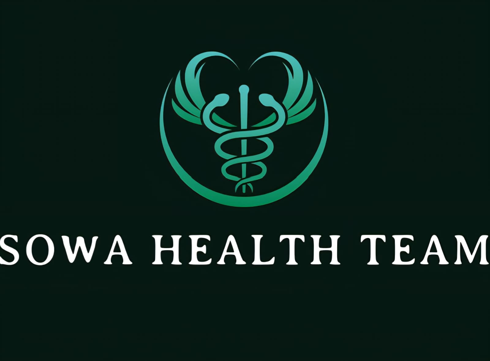 Sowa Health Team (United States Of America)